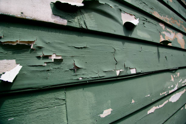 Best Dumpster Rental Services  in Humansville, MO