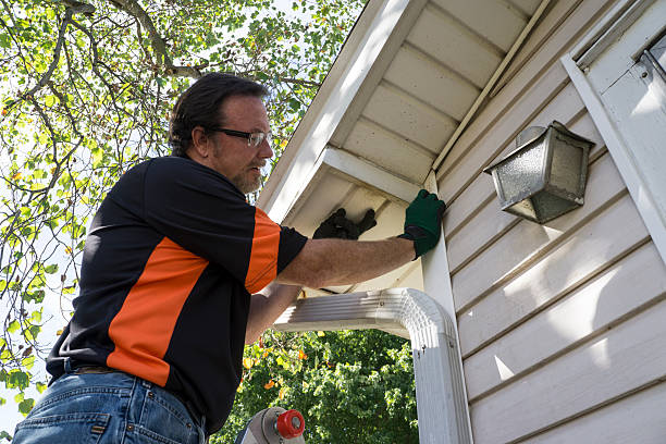 Best Hoarding Cleanup  in Humansville, MO